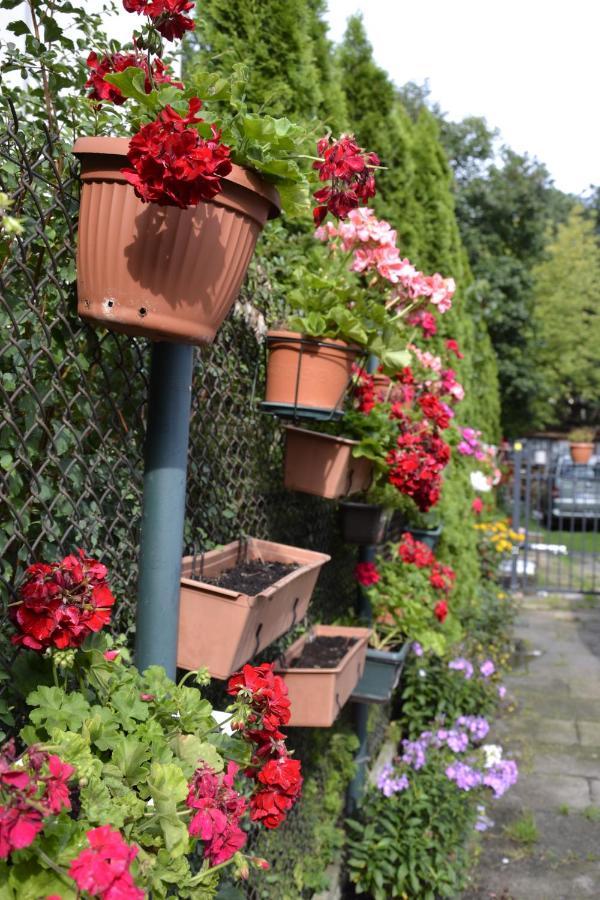 Warszawa Stare Bielany Bed and Breakfast Eksteriør billede